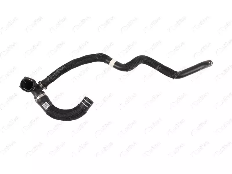 RADIATOR OUTLET HOSE