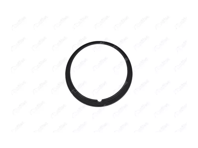 FUEL TANK GASKET