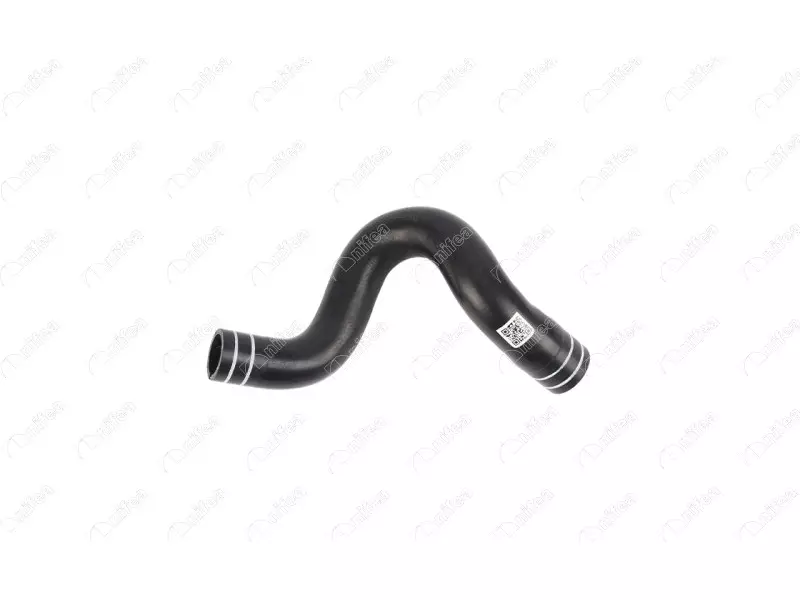 RADIATOR OUTLET HOSE