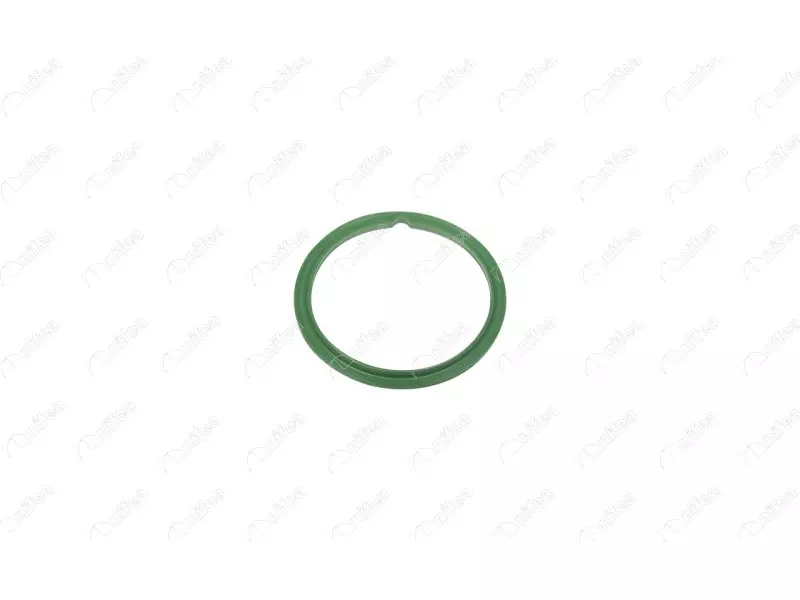 FUEL TANK GASKET