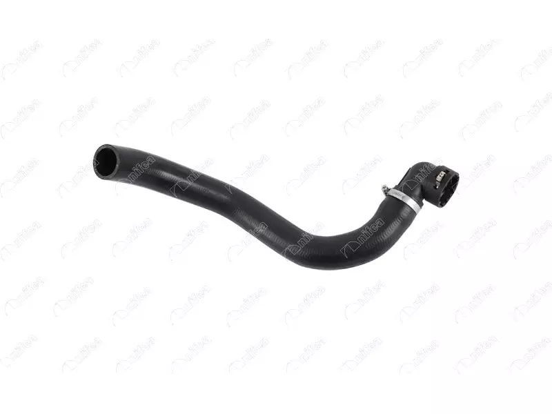 RADIATOR OUTLET HOSE