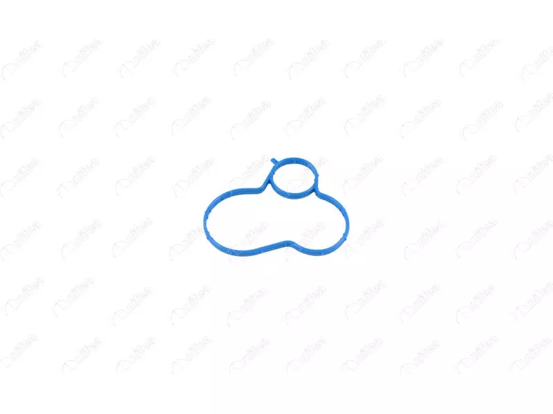 THERMOSTAT BODY GASKET