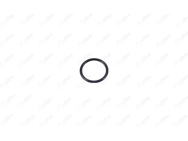 THERMOSTAT BODY GASKET