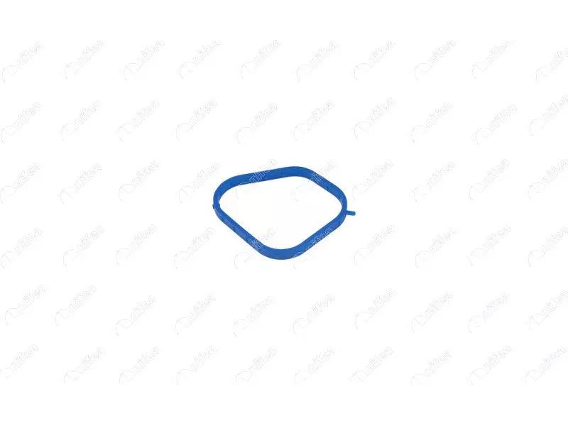 THERMOSTAT BODY GASKET