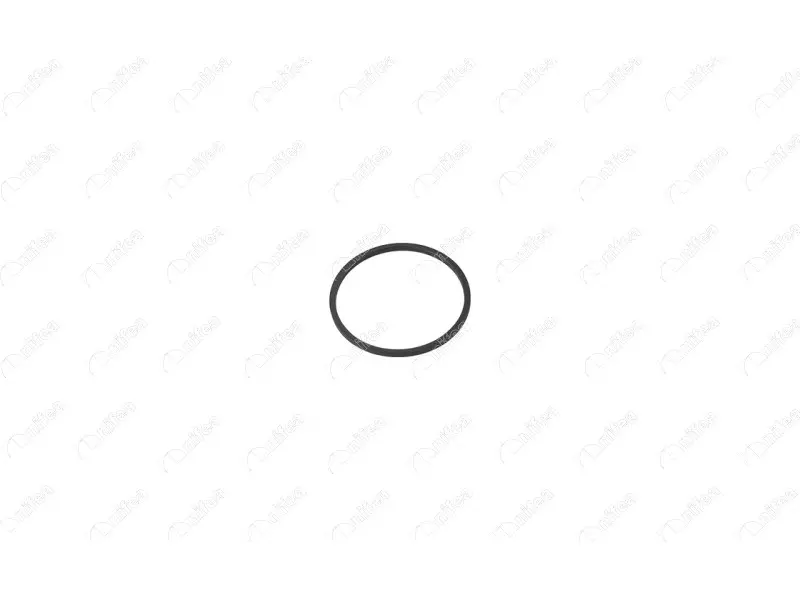 CAMSHAFT GASKET