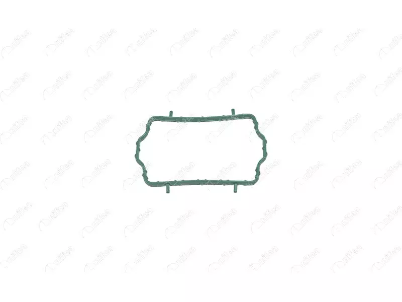 THERMOSTAT BODY GASKET