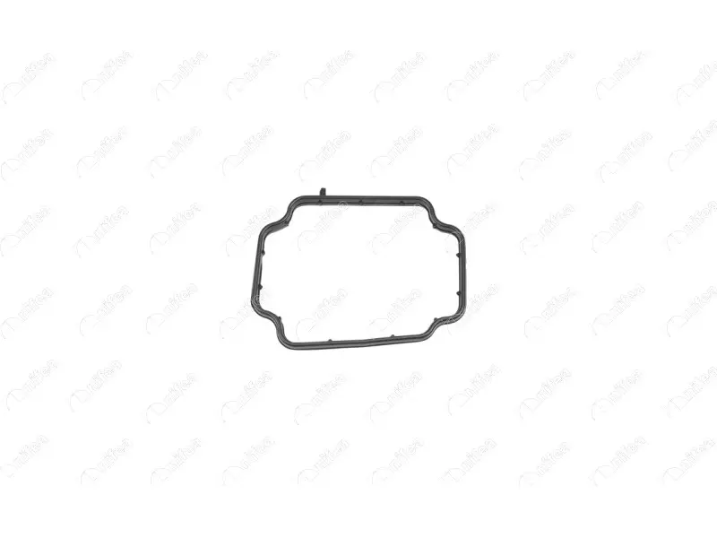 THERMOSTAT BODY GASKET