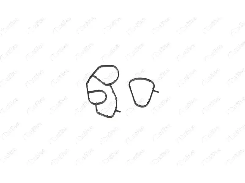 OIL COOLER GASKET