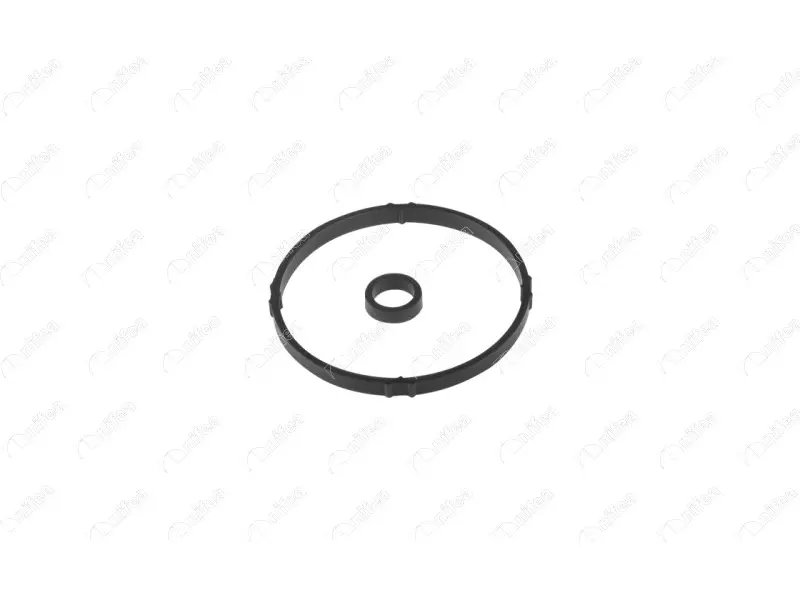 OIL FILTER GASKET