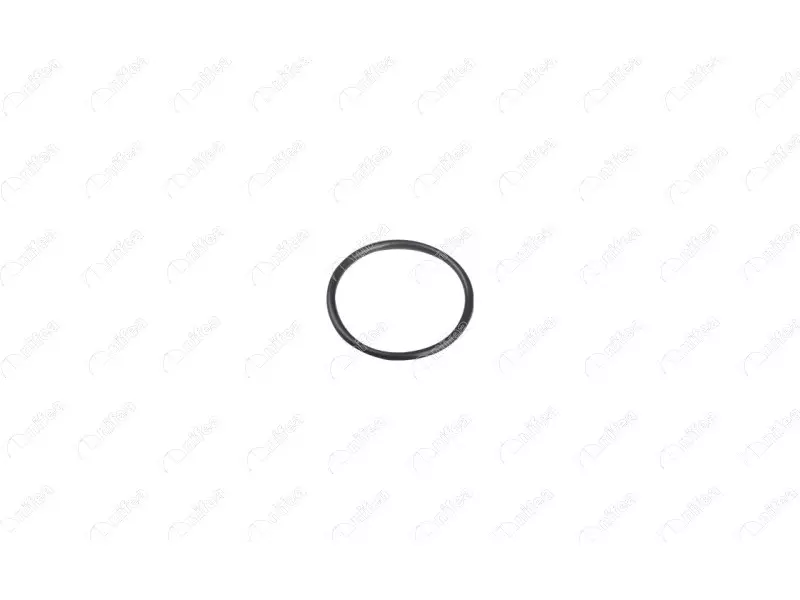 WATER PIPE GASKET