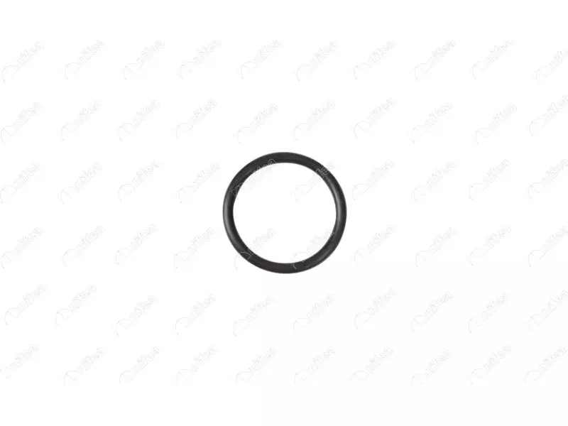 SUCTION MANIFOLD GASKET