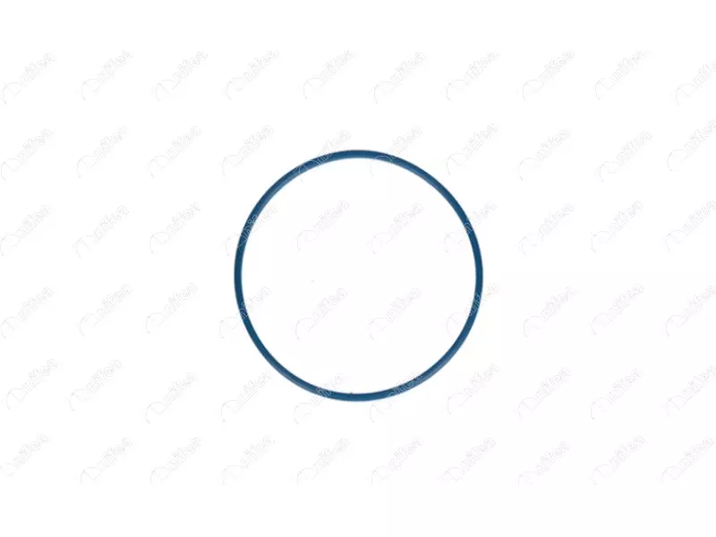 FUEL TANK GASKET