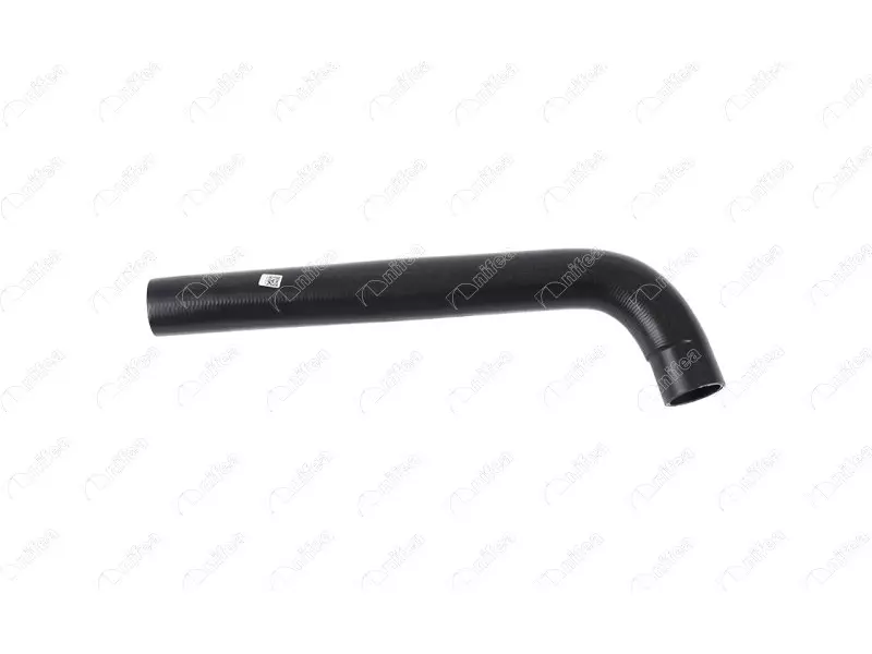 FUEL HOSE