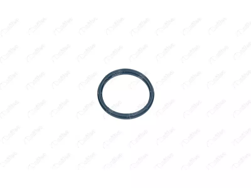 SUCTION MANIFOLD GASKET