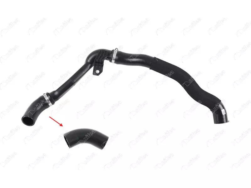 RADIATOR OUTLET HOSE EXCLUDING PLASTIC PIPE