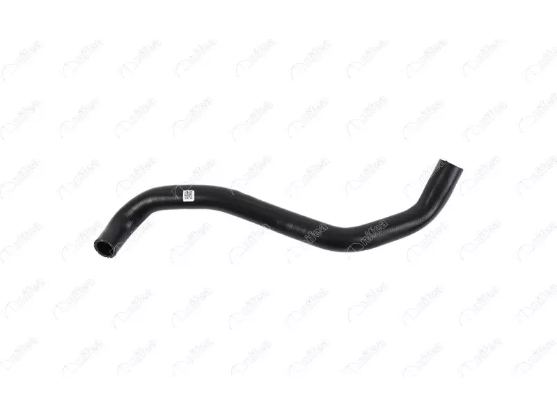 RADIATOR OUTLET HOSE