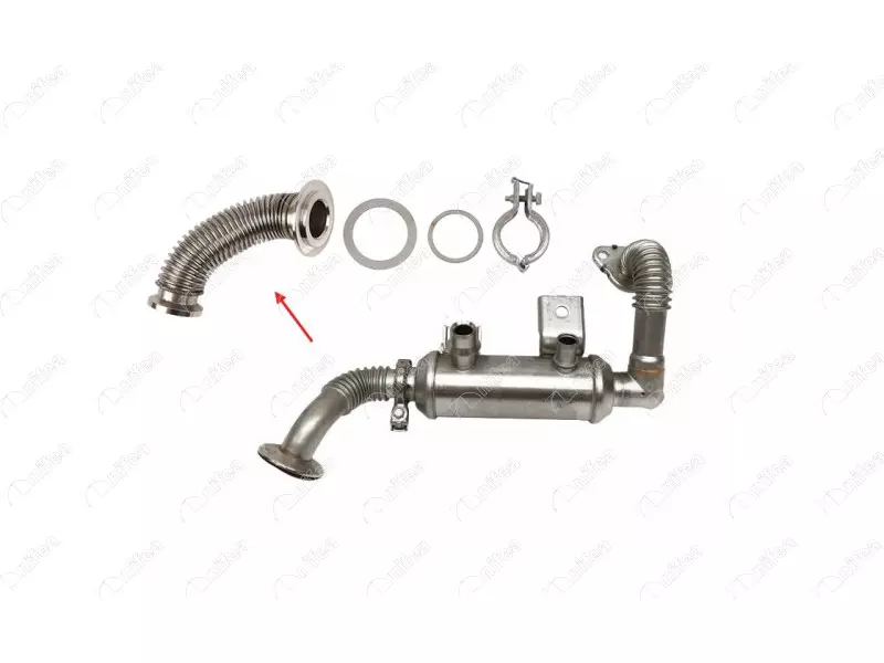 EGR PIPE
WITHOUT COOLER