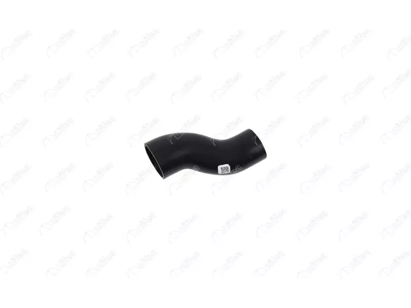 FUEL TANK HOSE