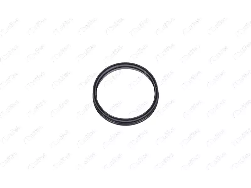 FUEL TANK GASKET