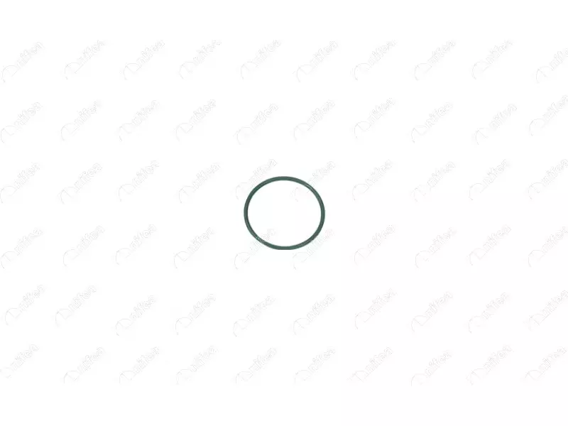 TURBO PIPE GASKET