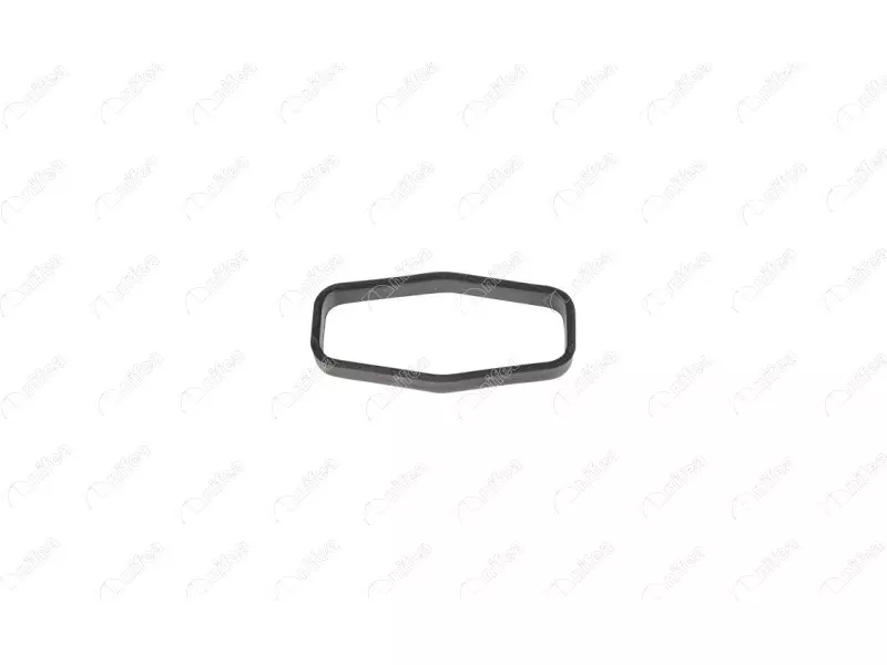 OIL PUMP PIPE GASKET