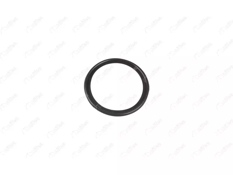 OIL COOLER GASKET