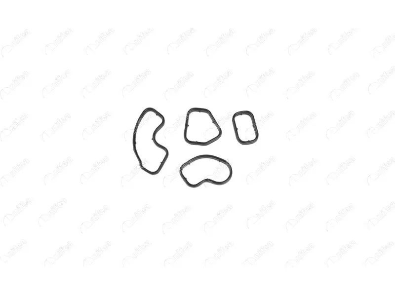 OIL COOLER GASKET