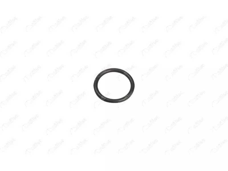 GASKET OF WATER PUMP PIPE