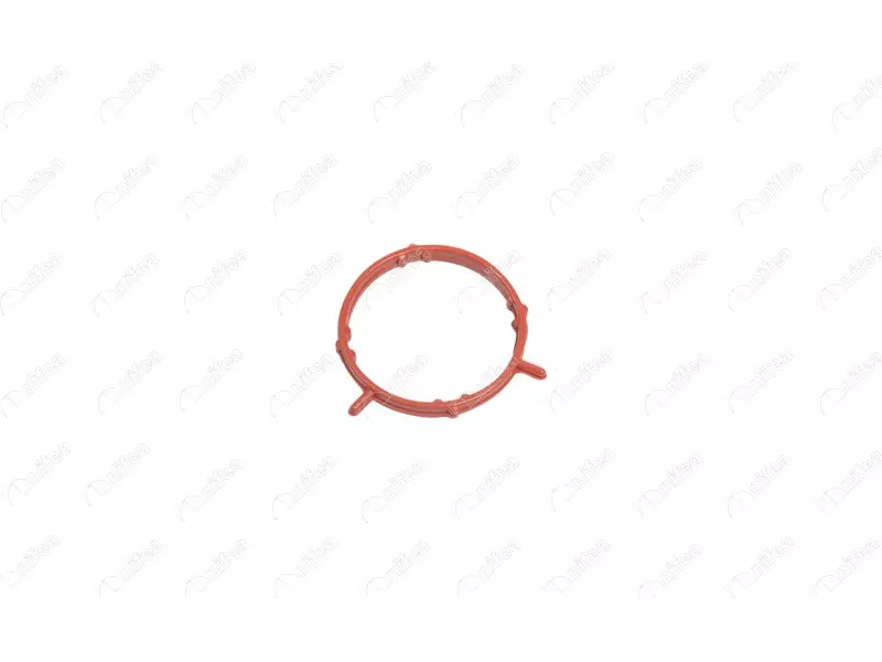 TURBO PIPE GASKET