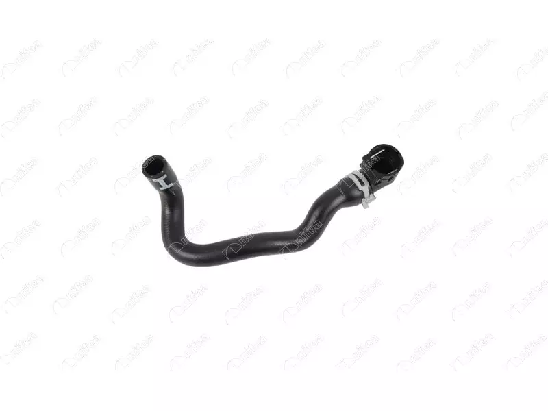 EGR HOSE