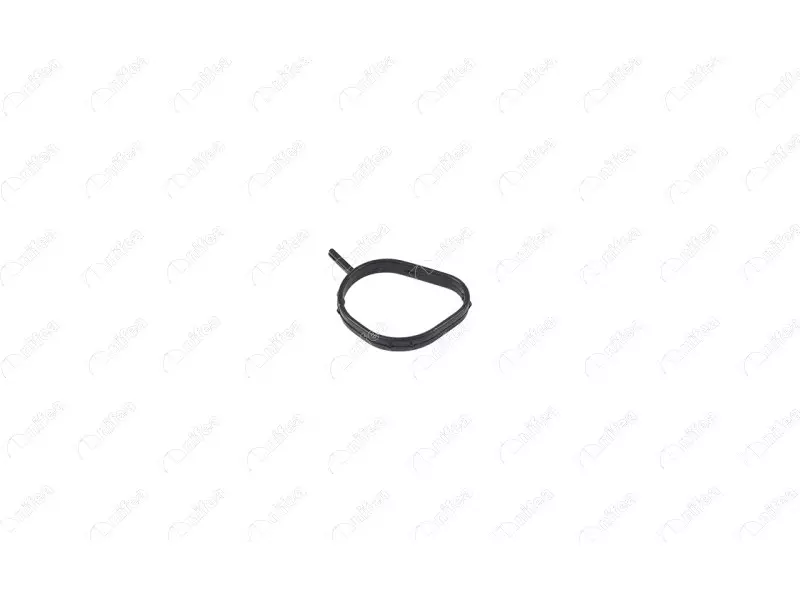 THERMOSTAT BODY GASKET