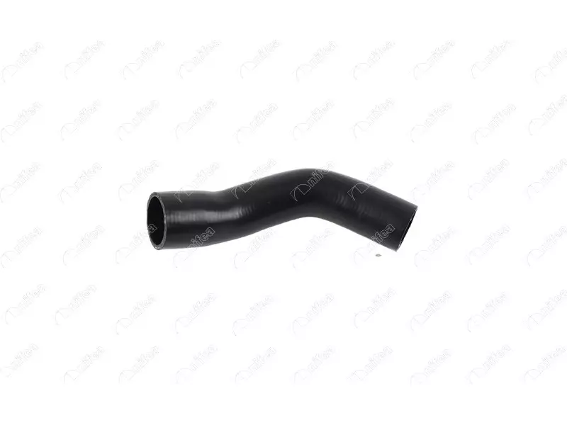 FUEL HOSE