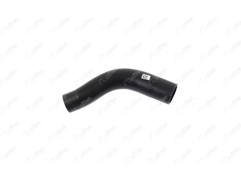 FUEL HOSE