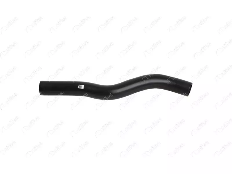 FUEL HOSE