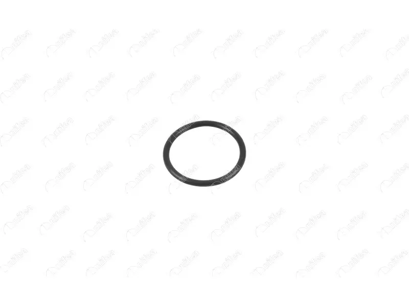 TURBO PIPE GASKET
