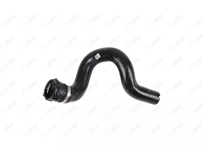 RADIATOR OUTLET HOSE