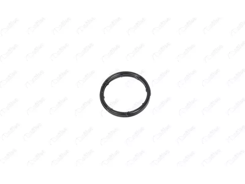 OIL COOLING PIPE GASKET