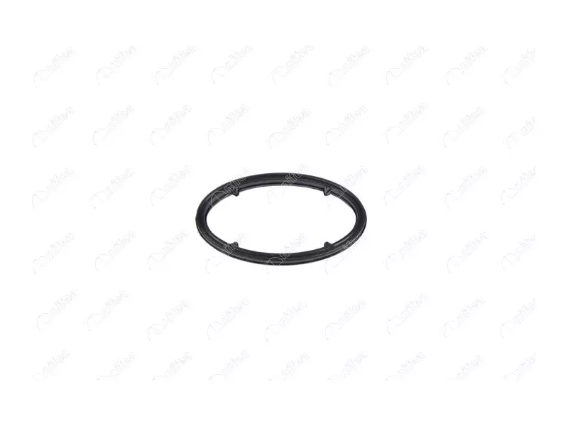 OIL FILTER GASKET