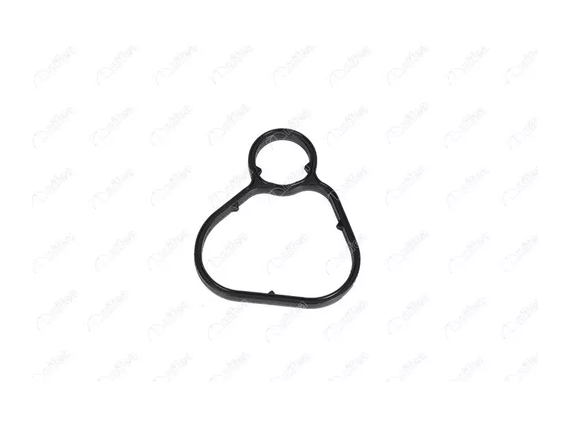 OIL FILTER GASKET