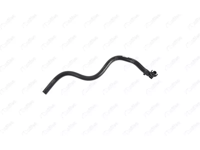WATER HOSE