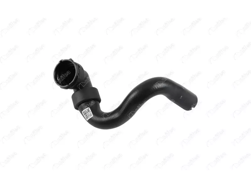 RADIATOR OUTLET HOSE