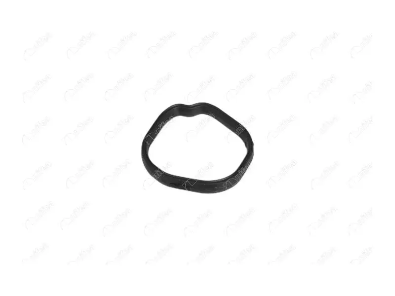 THERMOSTAT BODY GASKET