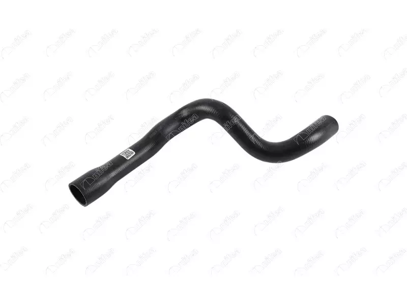 RADIATOR OUTLET HOSE