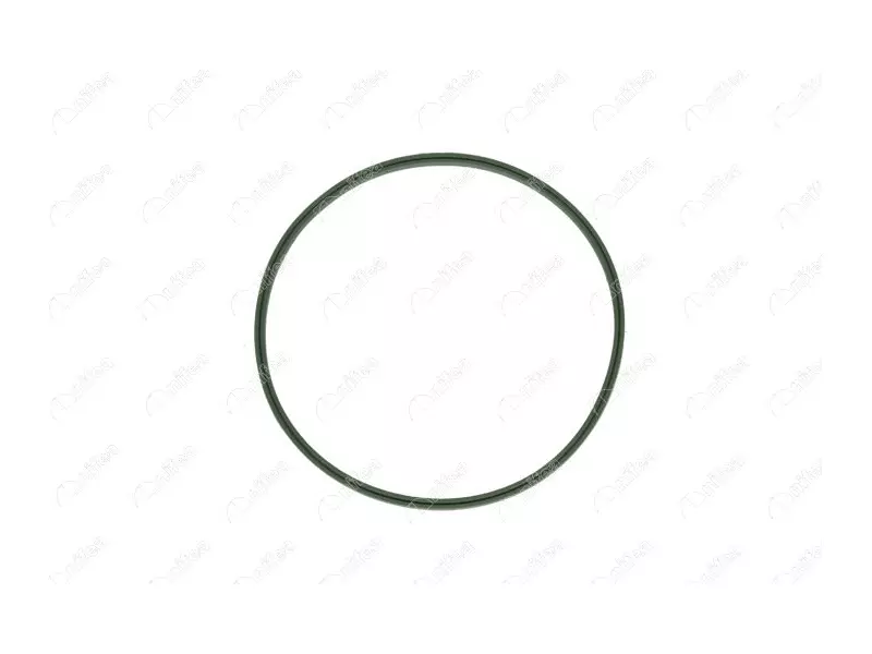 FUEL TANK GASKET