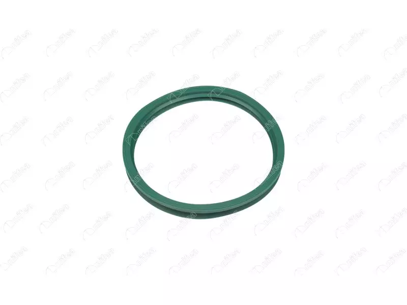 FUEL TANK GASKET