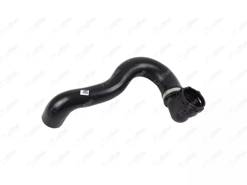 RADIATOR OUTLET HOSE