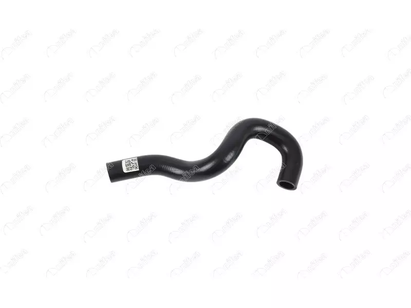 THERMOSTAT HOSE