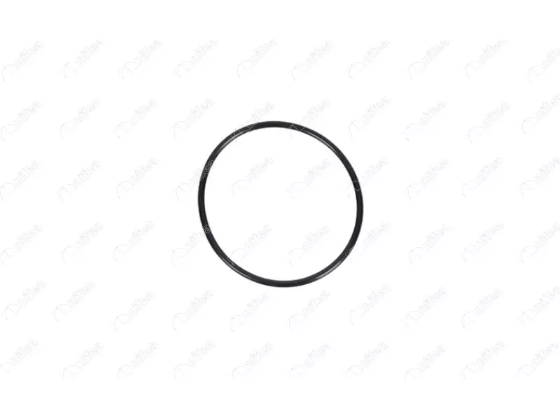FUEL TANK GASKET