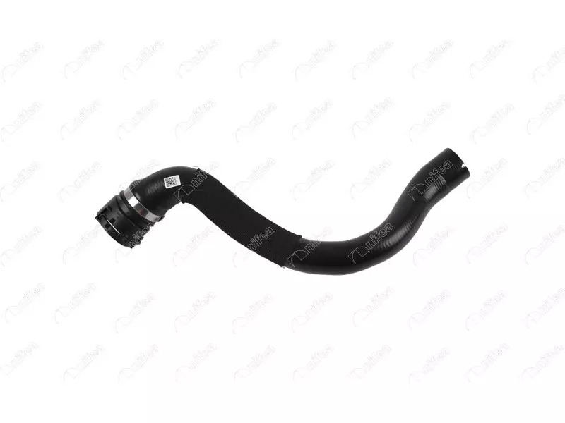 RADIATOR OUTLET HOSE