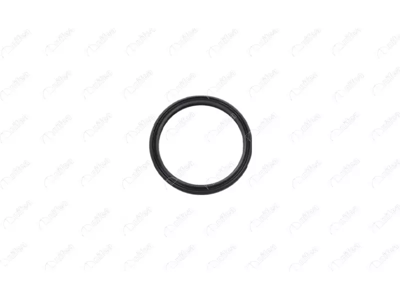 TURBO PIPE GASKET